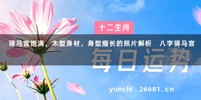驿马宫饱满，木型身材，身型瘦长的照片解析 八字驿马宫
